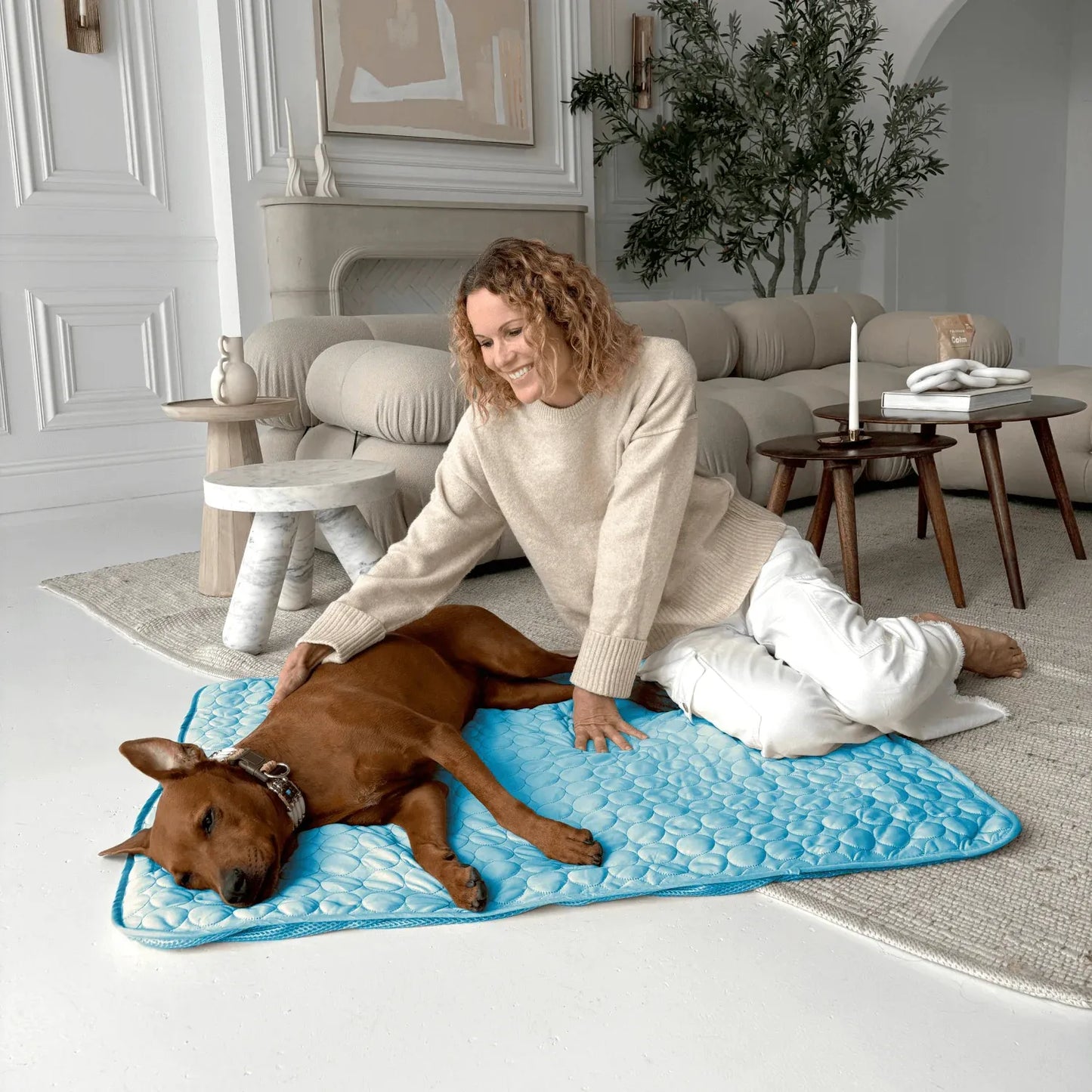PawsChills™ Cooling Mat