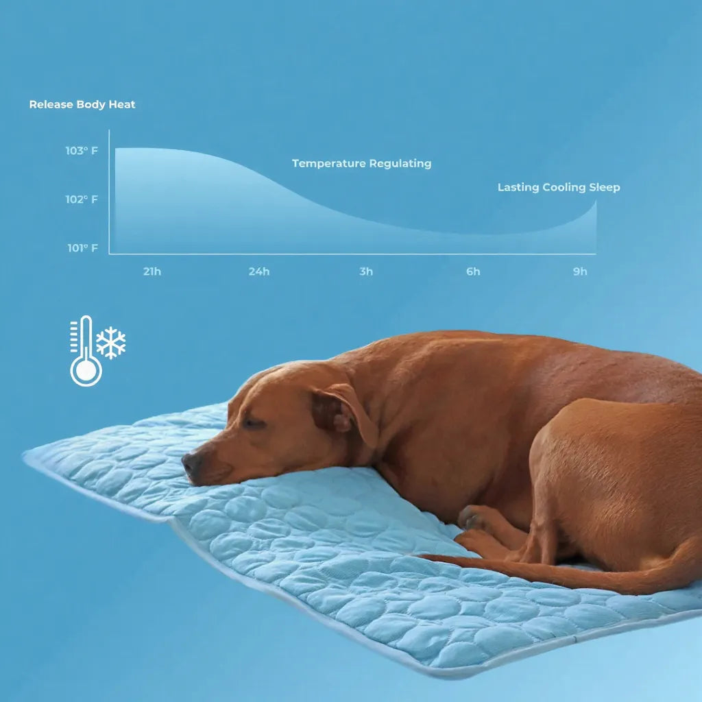 PawsChills™ Cooling Mat