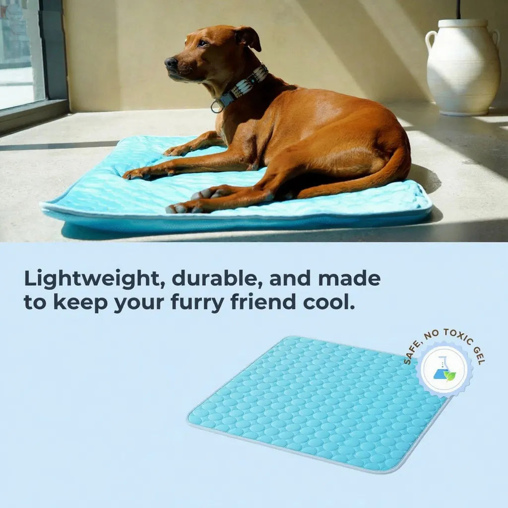 PawsChills™ Cooling Mat