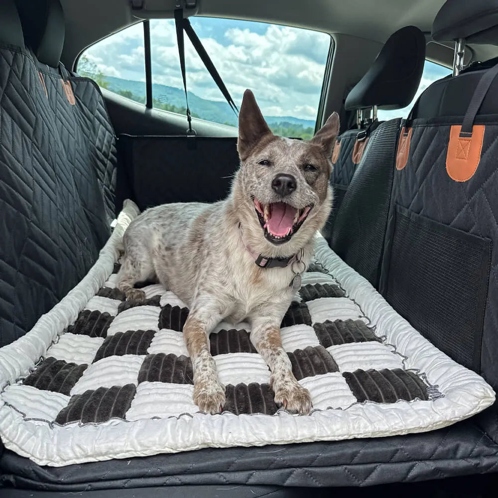 PawsChills™ Hard Bottom Dog Car Seat Protector