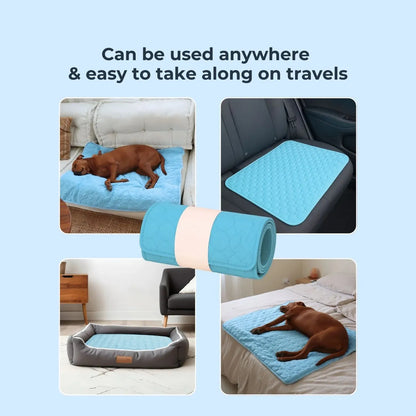 PawsChills™ Cooling Mat